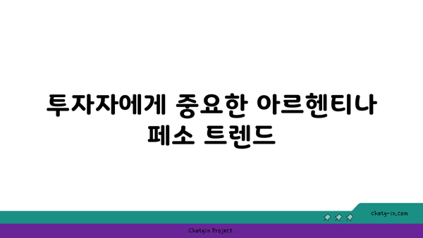 아르헨티나 페소 환율 변동의 원인과 예측 가이드 | 환율, 투자, 경제 동향"