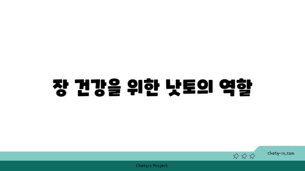 낫토 효능의 모든 것| 건강에 미치는 긍정적인 영향 10가지 | 낫토, 건강, 영양소, 자연식품