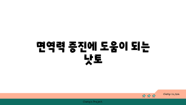 낫토 효능의 모든 것| 건강에 미치는 긍정적인 영향 10가지 | 낫토, 건강, 영양소, 자연식품