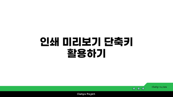 엑셀 빠른인쇄 단축키 완벽 가이드 | 엑셀, 단축키, 효율성 증대