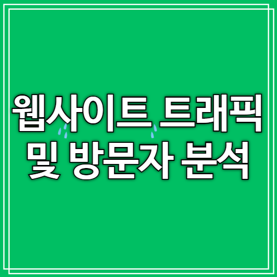 웹사이트 트래픽 및 방문자