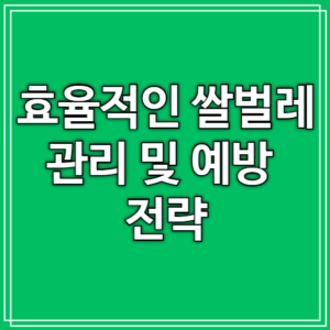 효율적인 쌀벌레 관리 및 예방 전략