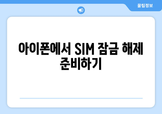 아이폰 SIM 잠금 해제 방법| 자세한 가이드와 팁 | 아이폰, SIM 잠금, 해결책