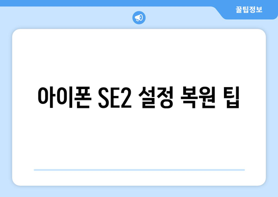 아이폰 SE2 공장 초기화 방법 및 주의사항 총정리 | 아이폰, 초기화, 설정 가이드