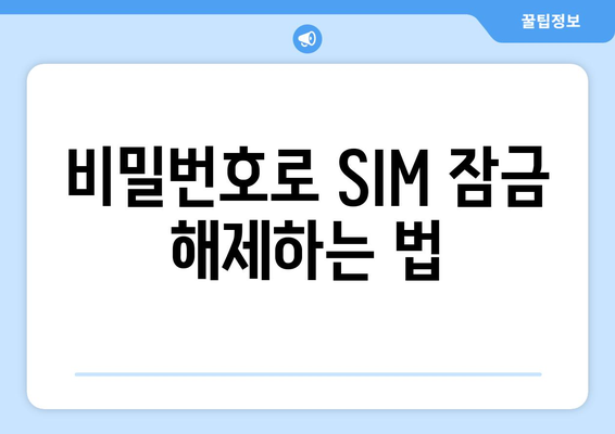 아이폰 SIM 잠금 해제 방법| 자세한 가이드와 팁 | 아이폰, SIM 잠금, 해결책