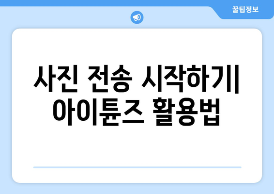 아이폰 아이튠즈로 사진 쉽게 옮기는 방법 | 사진 전송 가이드, 아이폰 팁, IT 활용법