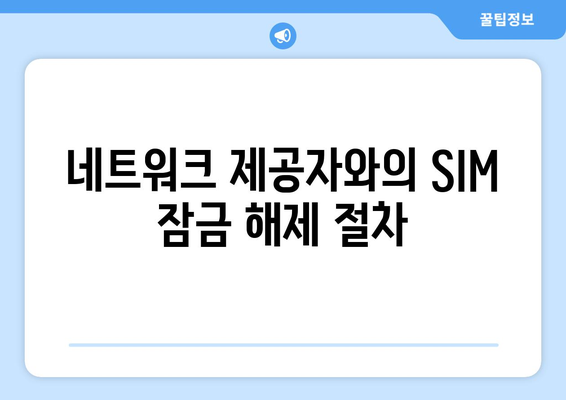 아이폰 SIM 잠금 해제 방법| 자세한 가이드와 팁 | 아이폰, SIM 잠금, 해결책