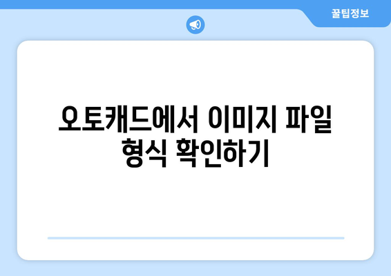 오토캐드 이미지 삽입 방법 알아보기 | 오토캐드, 이미지 삽입, CAD 팁