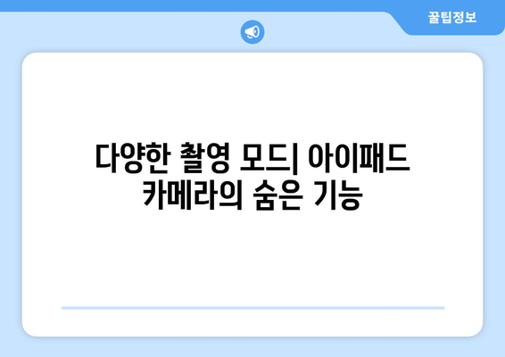 아이패드 사진 촬영의 모든 것| 전문가처럼 찍는 팁과 기술 | 아이패드, 사진 촬영, 카메라 활용법