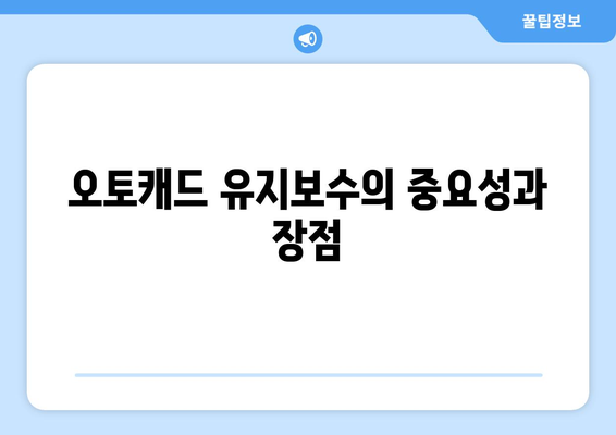 오토캐드 유지보수| 효과적인 관리 방법과 필수 팁 | 오토캐드, 유지보수, CAD 관리