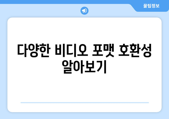 파워포인트 비디오 삽입 방법 완벽 가이드 | 프레젠테이션, 멀티미디어, 비주얼 콘텐츠