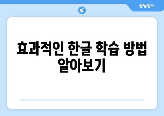 한글2024 기초 배우기| 초보자를 위한 필수 가이드와 팁 | 한글, 기초 교육, 문서 작성"