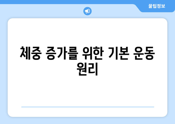 남자 체중 증가 운동법| 효과적인 운동 루틴과 영양 팁 | 체중 증가, 건강, 운동 계획