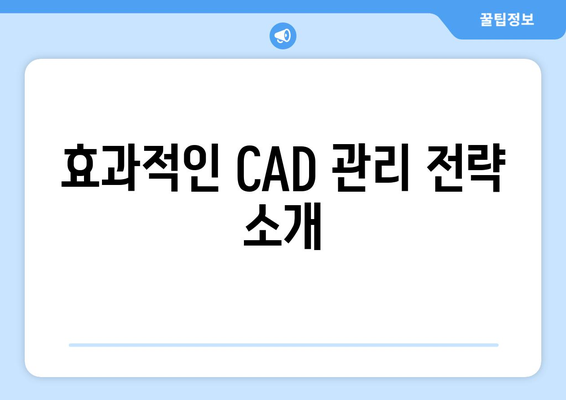 오토캐드 유지보수| 효과적인 관리 방법과 필수 팁 | 오토캐드, 유지보수, CAD 관리