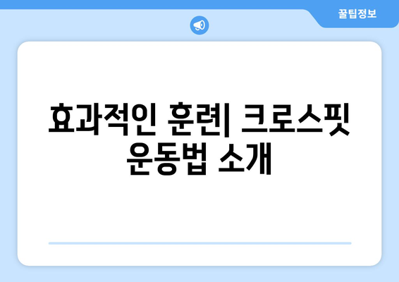 크로스핏 기초 가이드| 효과적인 훈련 방법과 필수 팁 | 크로스핏, 운동법, 피트니스