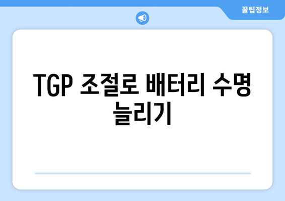 4060 노트북 TGP 이해하기| 성능 최적화 방법과 팁 | 노트북, TGP, 성능 최적화