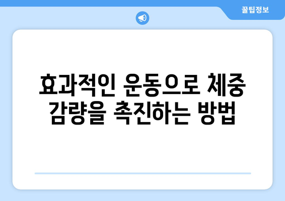 피트니스와 다이어트를 위한 10가지 효과적인 운동 방법과 식단 팁 | 건강, 체중 감량, 웰빙"