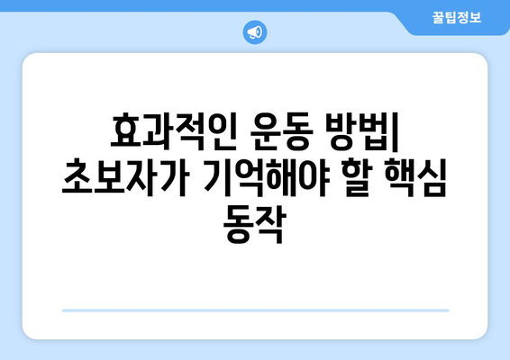 보디빌딩 초보 가이드| 효과적인 운동과 영양의 모든 것 | 보디빌딩, 초보자, 운동 방법, 영양 팁