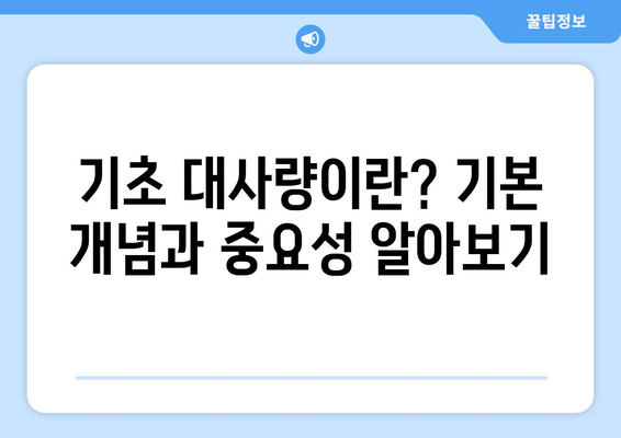 기초 대사량 이해하기| 정확한 측정 방법과 필수 팁 | 건강, 다이어트, 영양관리