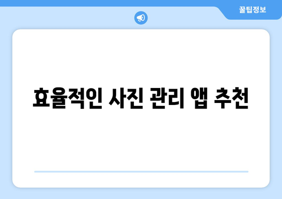 아이패드 사진 관리의 모든 것| 쉽고 효과적인 팁과 방법 | 아이패드, 사진 정리, 클라우드 저장