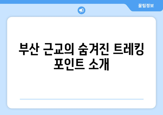 부산 근교 걷기 좋은 길 10선 가이드 | 트레킹, 힐링, 자연 탐방