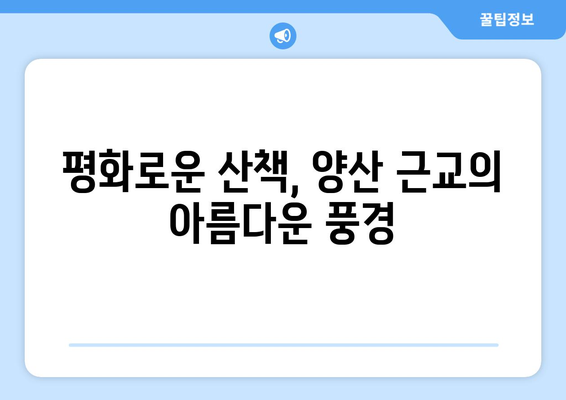 양산 근교 산책하기 좋은 곳 10곳! | 자연, 힐링, 가족 나들이 추천