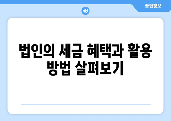창업 법인 개인사업자 절세의 기초와 노하우 | 절세 전략, 세금 절감 팁, 창업 가이드