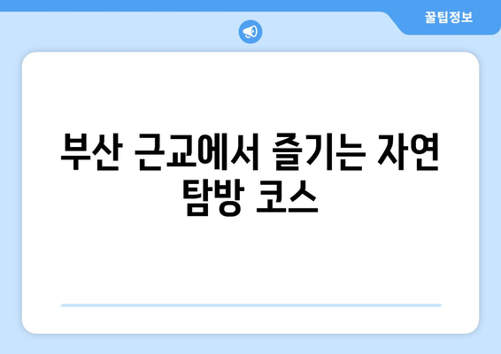 부산 근교 걷기 좋은 길 10선 가이드 | 트레킹, 힐링, 자연 탐방