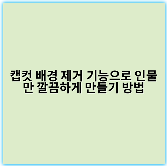 캡컷 배경 제거 기능으로 인물만 깔끔하게 만들기 방법 - 배경제거