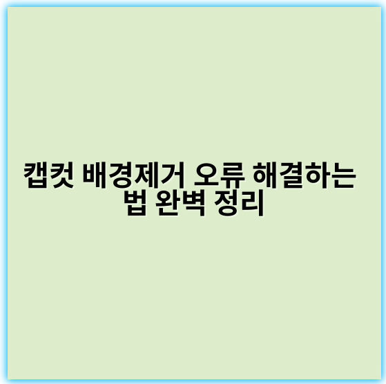 캡컷 배경제거 오류 해결하는 법 완벽 정리 - 배경제거